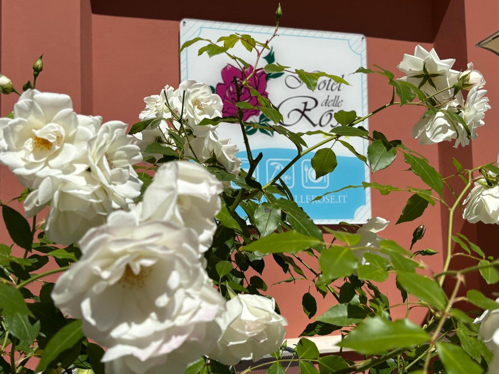 Hotel Delle Rose サン・バルトロメーオ・アル・マーレ エクステリア 写真